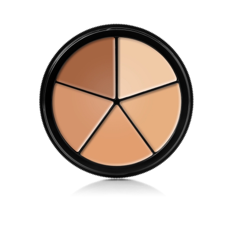 プロカラーリング コンシーラー ホイール