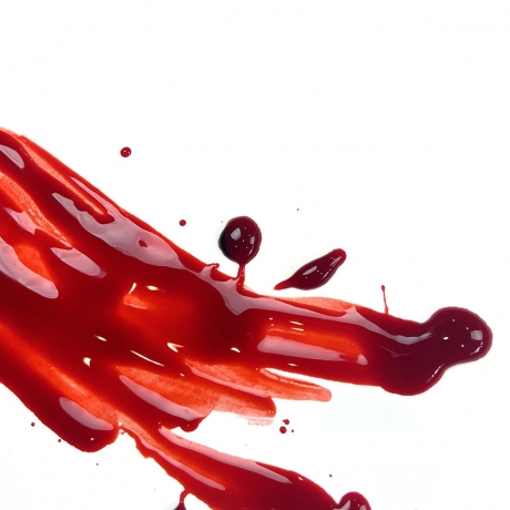 スカート ブラッド Bright