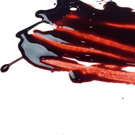 スカート ブラッド Dark